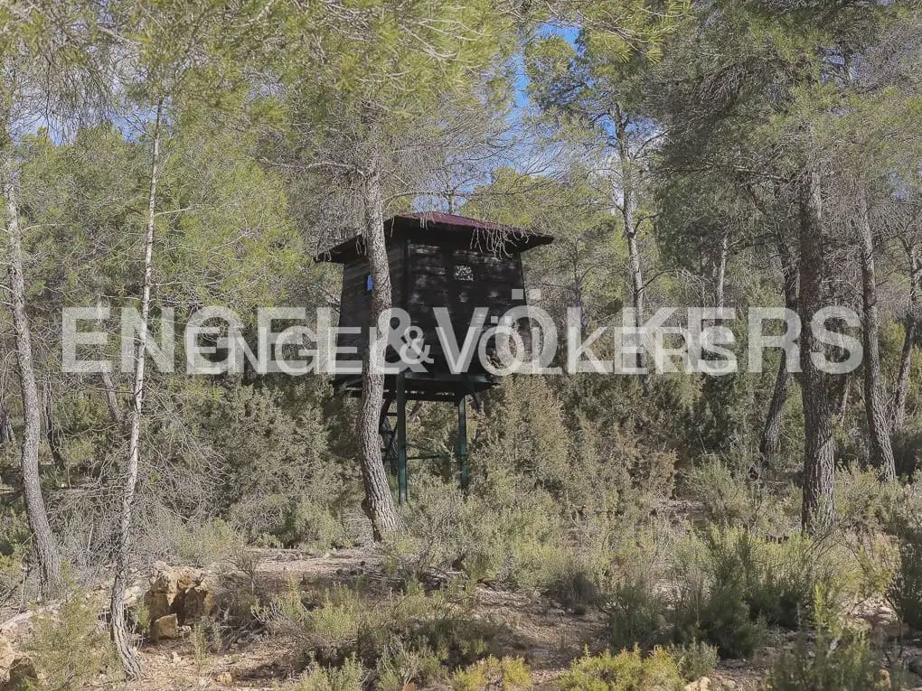 Finca/Casa Rural de 4 habitaciones en Ayora en venta con piscina - 4.800.000 € (Ref: 9965594)