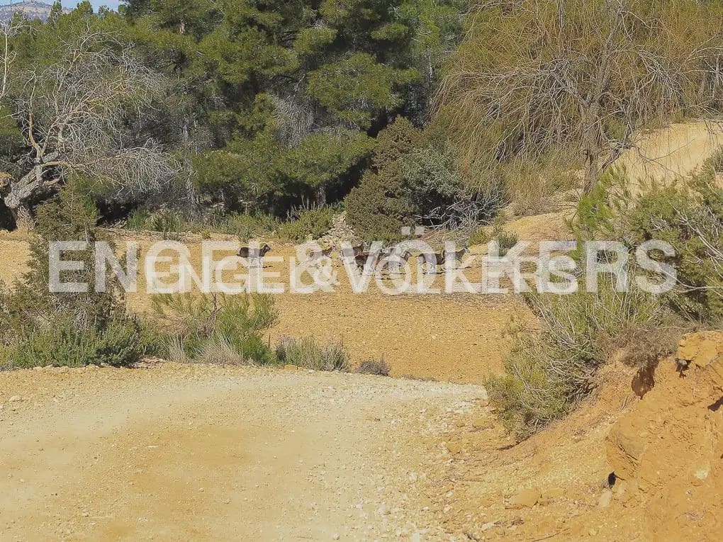 Finca/Casa Rural de 4 habitaciones en Ayora en venta con piscina - 4.800.000 € (Ref: 9965594)