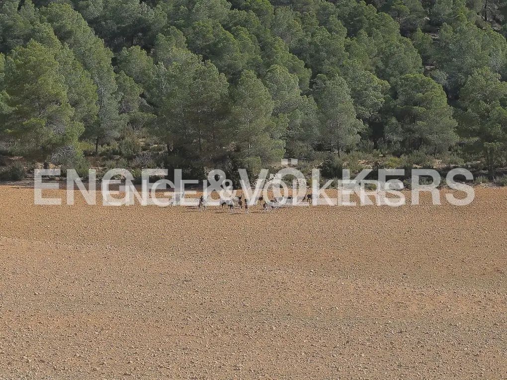 Finca/Casa Rural de 4 habitaciones en Ayora en venta con piscina - 4.800.000 € (Ref: 9965594)