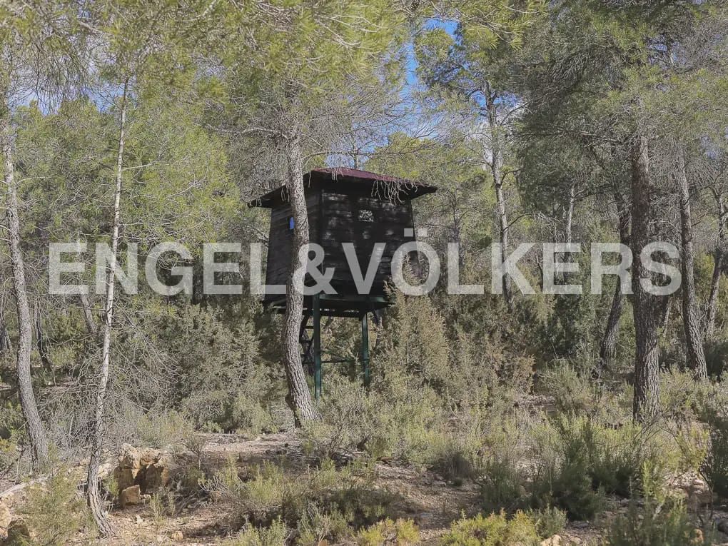 Finka/Dom wiejski na sprzedaż w Ayora - 3 450 000 € (Ref: 9965844)