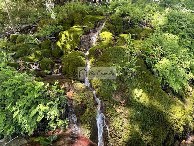 4 quarto Moradia para venda em Alfara de Carles - 115 000 € (Ref: 10019548)