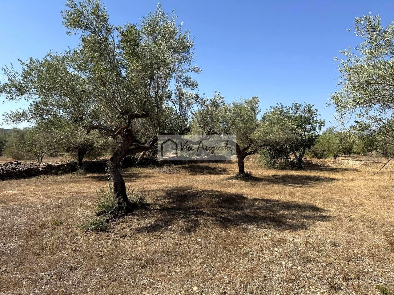 Landgrundstück zu verkaufen in El Perello - 75.000 € (Ref: 10019849)