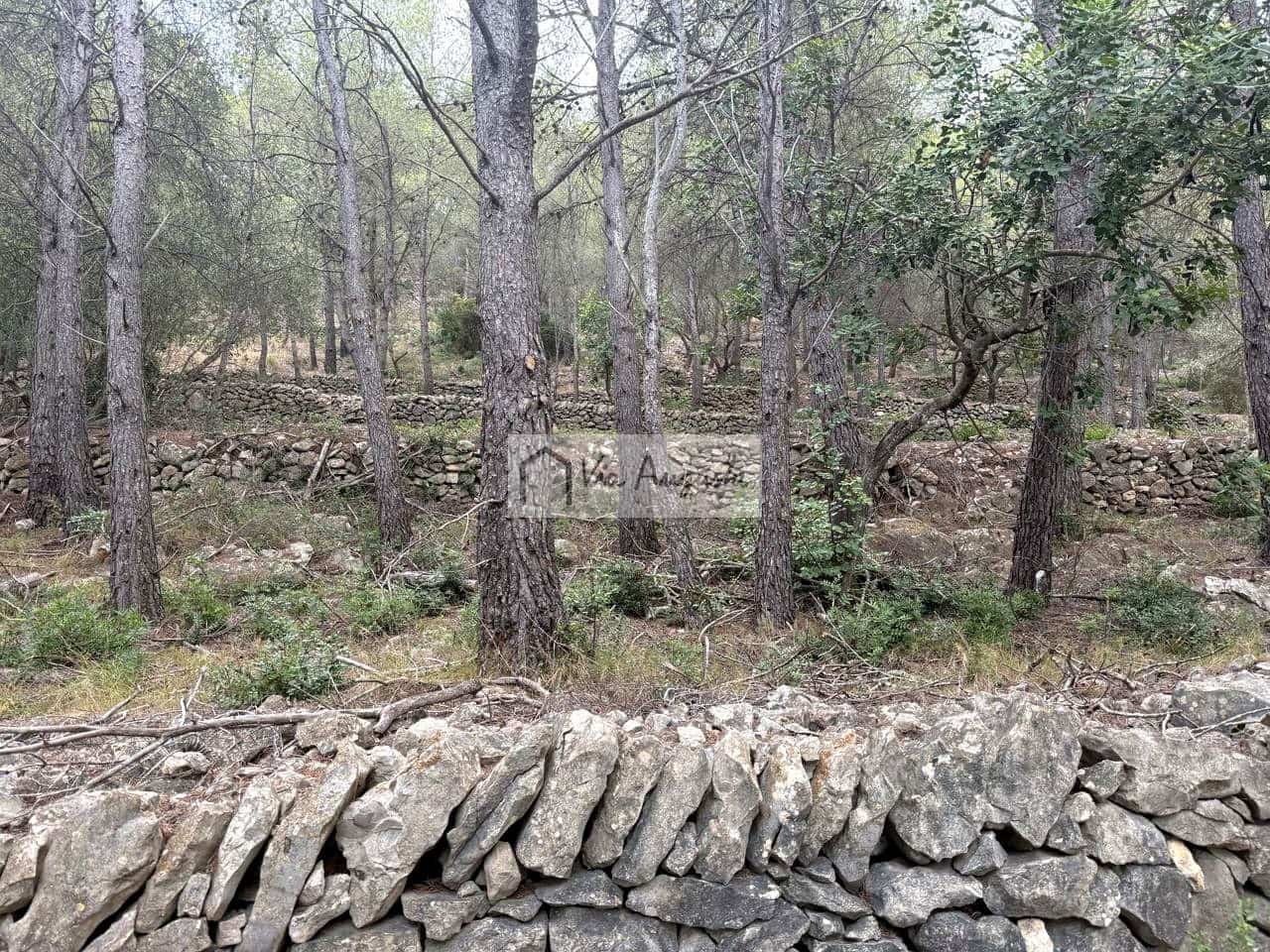 Grond te koop in L'Ametlla de Mar - € 8.000 (Ref: 10076732)
