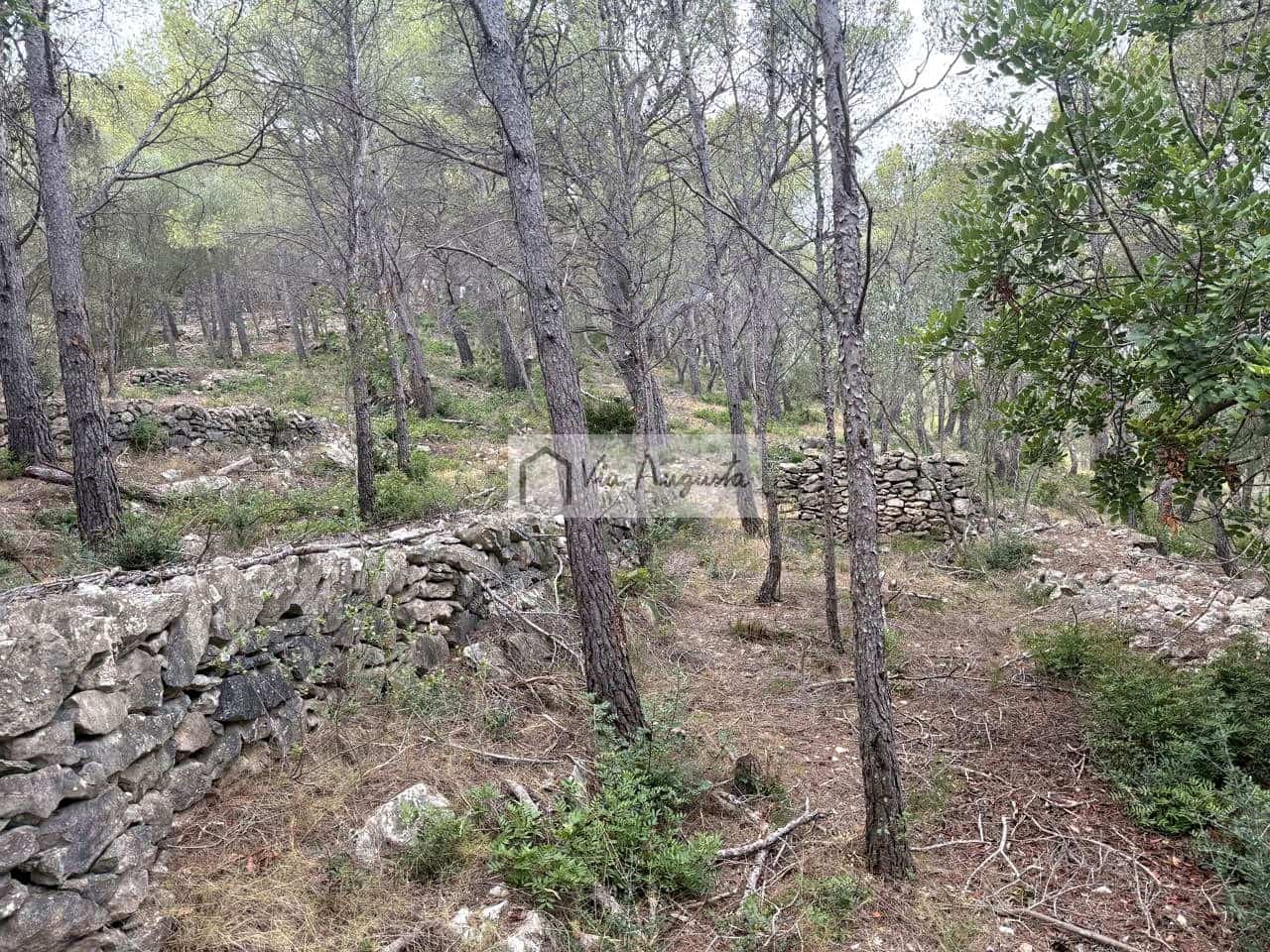 Grond te koop in L'Ametlla de Mar - € 8.000 (Ref: 10076732)
