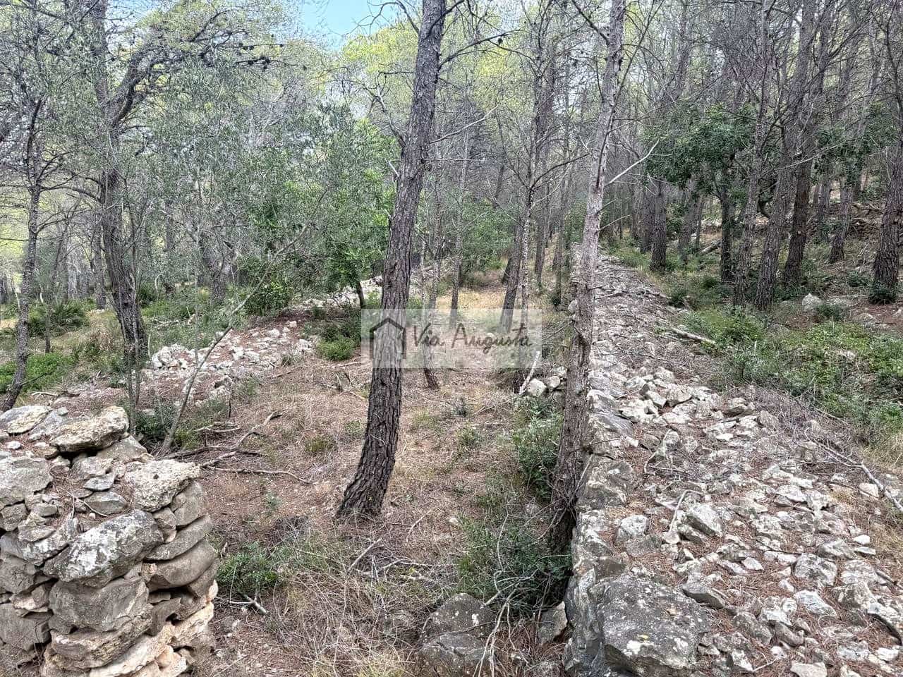 Grond te koop in L'Ametlla de Mar - € 8.000 (Ref: 10076732)