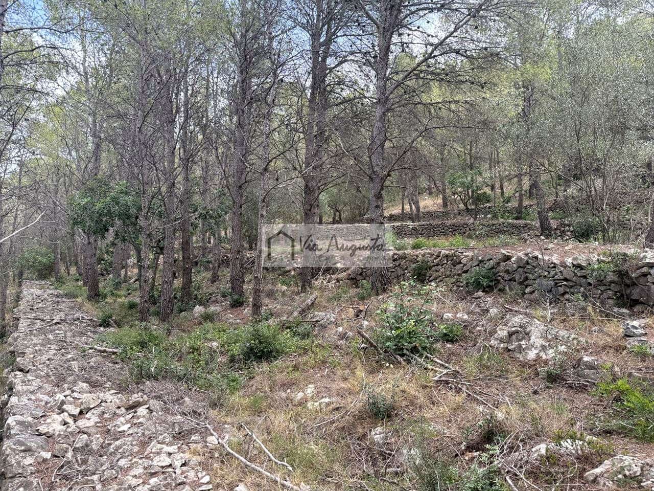 Grond te koop in L'Ametlla de Mar - € 8.000 (Ref: 10076732)