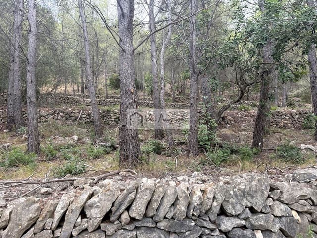 Grond te koop in L'Ametlla de Mar - € 8.000 (Ref: 10076732)