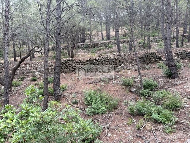 Grond te koop in L'Ametlla de Mar - € 8.000 (Ref: 10076732)