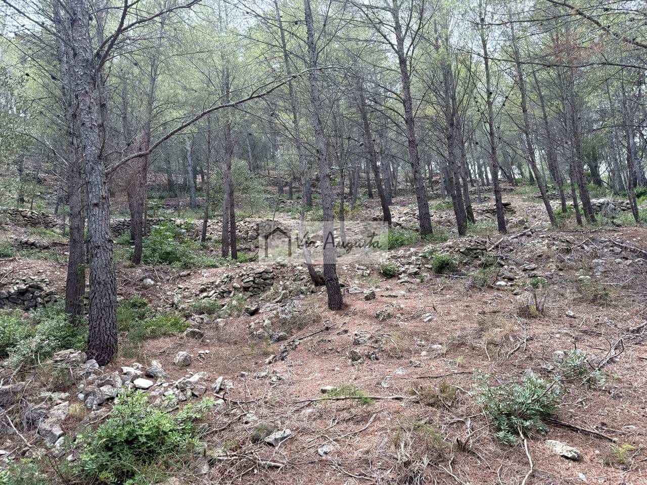 Grond te koop in L'Ametlla de Mar - € 8.000 (Ref: 10076732)
