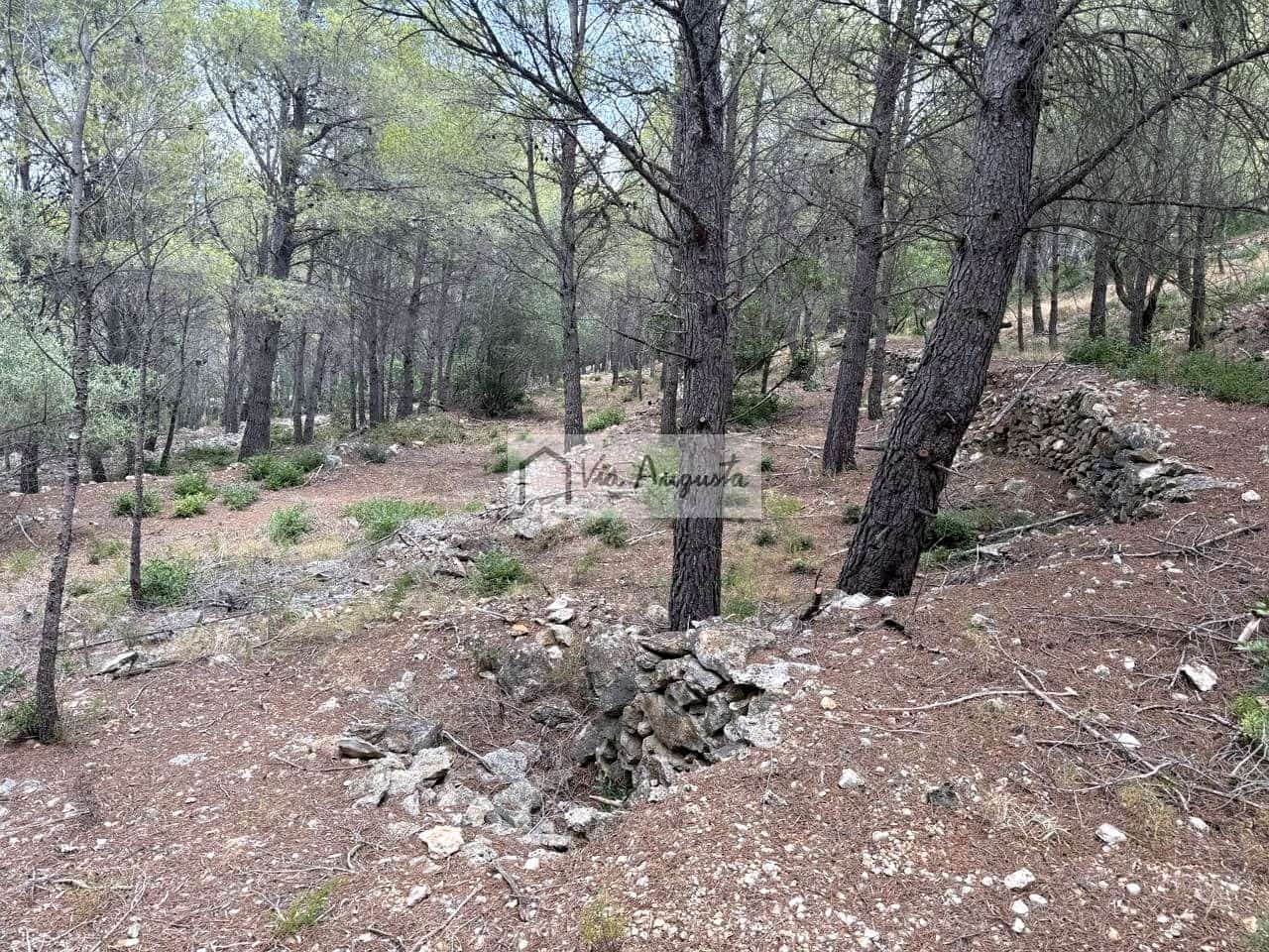Grond te koop in L'Ametlla de Mar - € 8.000 (Ref: 10076732)