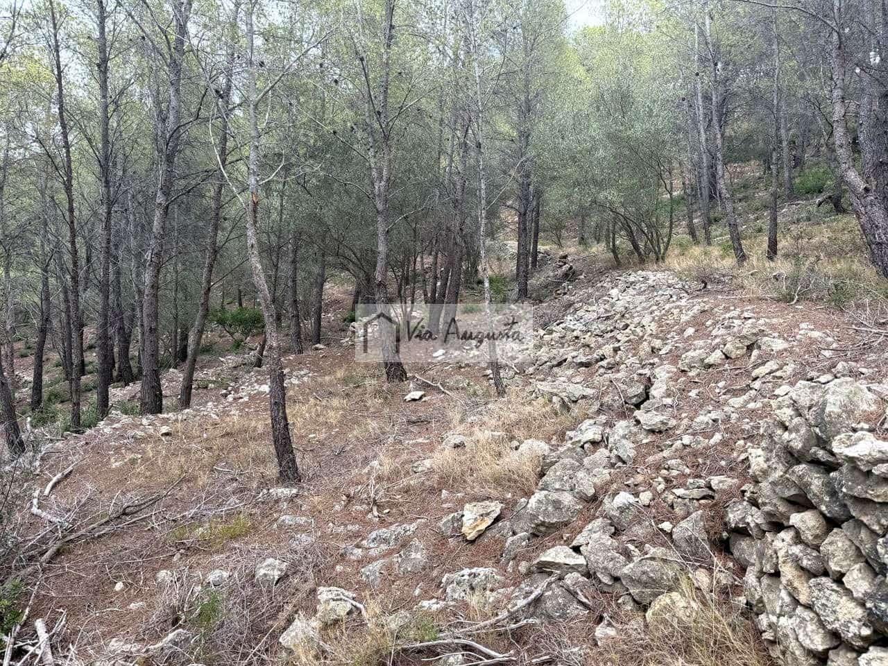 Grond te koop in L'Ametlla de Mar - € 8.000 (Ref: 10076732)