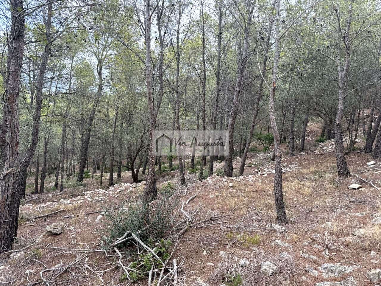 Grond te koop in L'Ametlla de Mar - € 8.000 (Ref: 10076732)