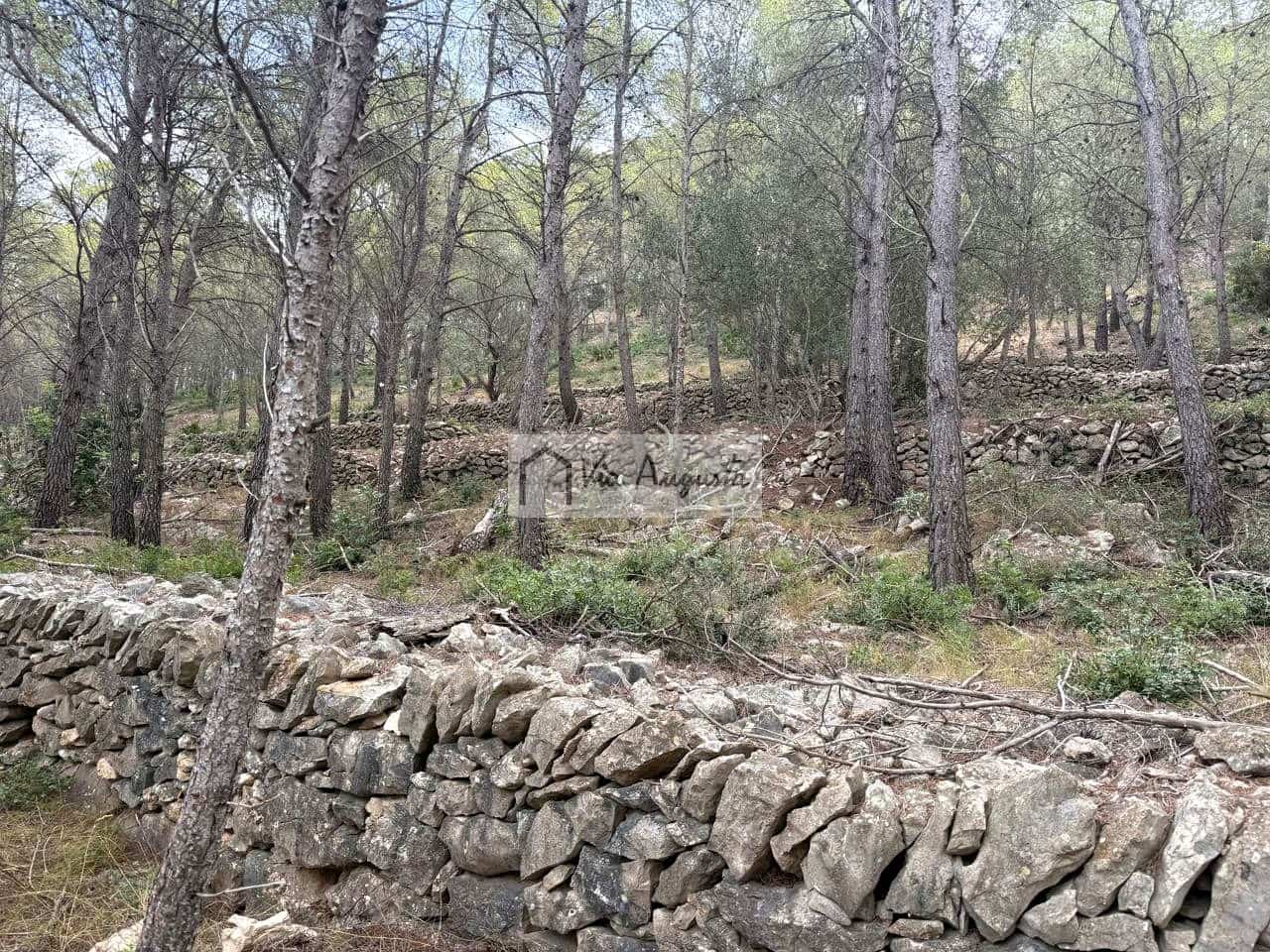 Grond te koop in L'Ametlla de Mar - € 8.000 (Ref: 10076732)