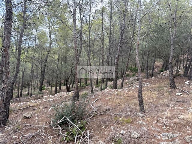 Grond te koop in L'Ametlla de Mar - € 8.000 (Ref: 10076732)