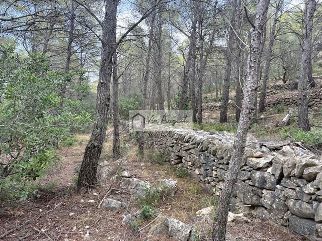 Grond te koop in L'Ametlla de Mar - € 8.000 (Ref: 10076732)