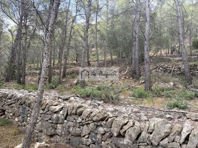 Grond te koop in L'Ametlla de Mar - € 8.000 (Ref: 10076732)