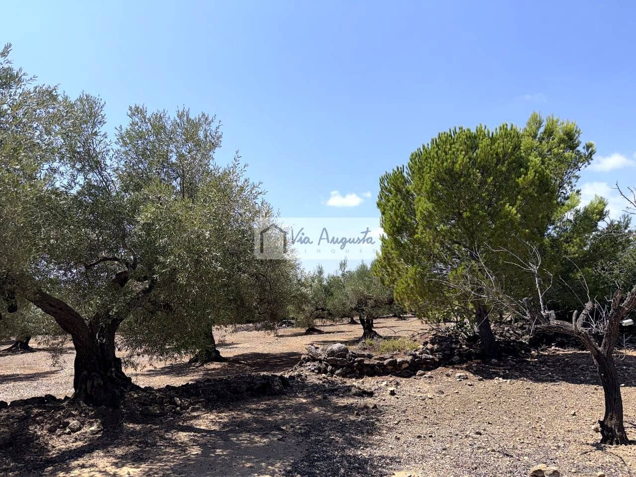 Terreno/Finca Rústica en L'Ametlla de Mar en venta - 80.000 € (Ref: 10076846)
