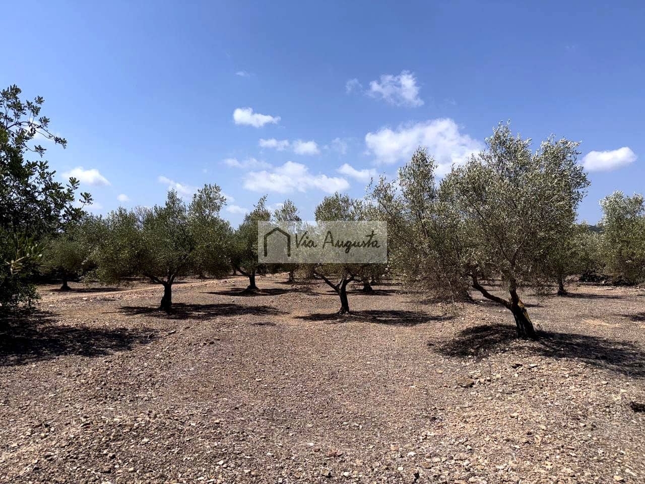 Terreno/Finca Rústica en L'Ametlla de Mar en venta - 80.000 € (Ref: 10076846)