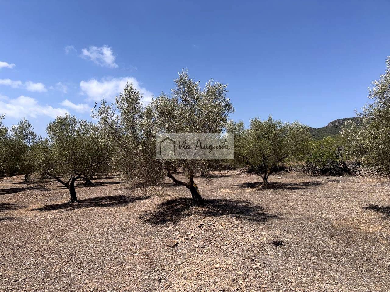 Terreno/Finca Rústica en L'Ametlla de Mar en venta - 80.000 € (Ref: 10076846)