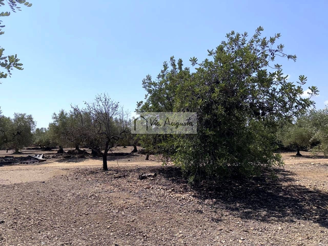 Terreno/Finca Rústica en L'Ametlla de Mar en venta - 80.000 € (Ref: 10076846)