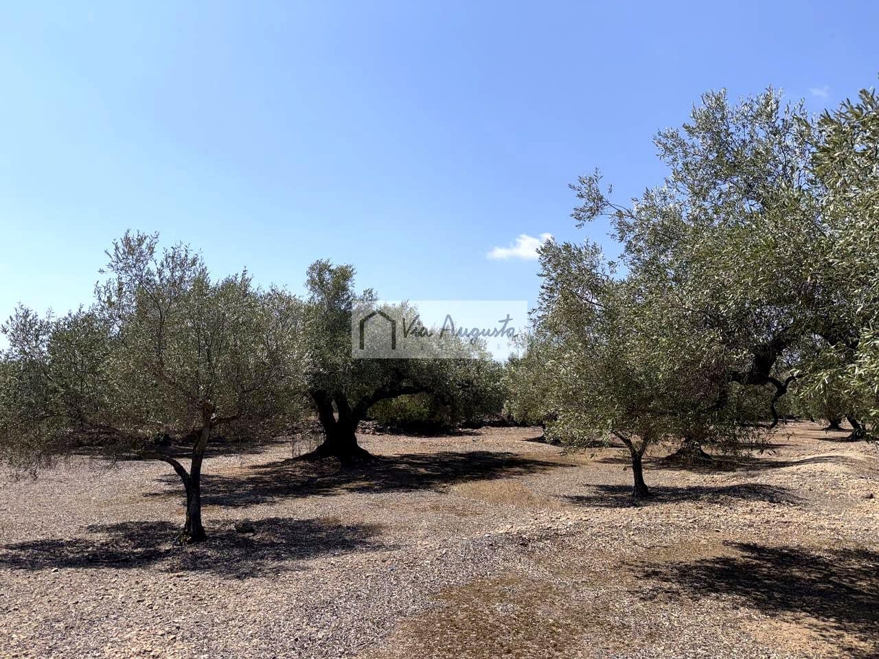 Terreno/Finca Rústica en L'Ametlla de Mar en venta - 80.000 € (Ref: 10076846)