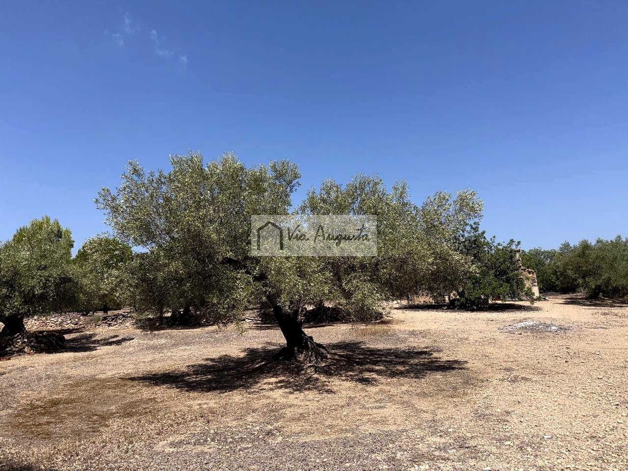 Terreno/Finca Rústica en L'Ametlla de Mar en venta - 80.000 € (Ref: 10076846)