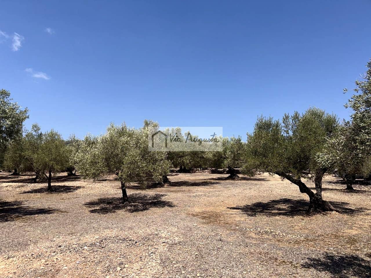 Terreno/Finca Rústica en L'Ametlla de Mar en venta - 80.000 € (Ref: 10076846)