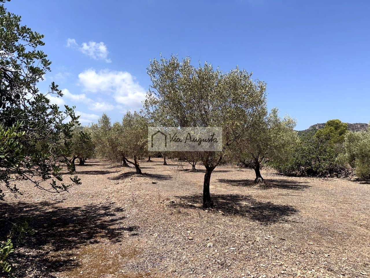Terreno/Finca Rústica en L'Ametlla de Mar en venta - 80.000 € (Ref: 10076846)