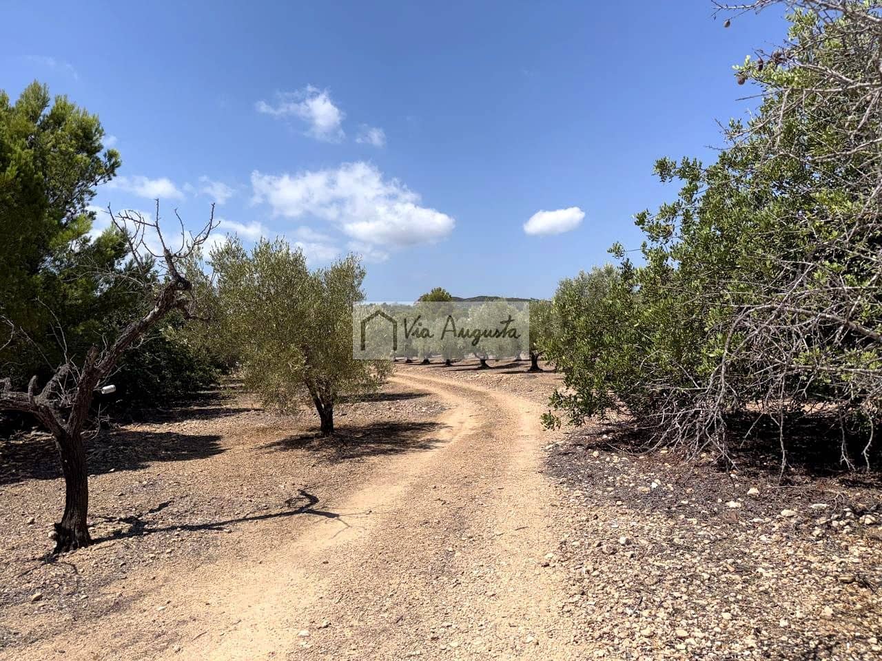 Terreno/Finca Rústica en L'Ametlla de Mar en venta - 80.000 € (Ref: 10076846)