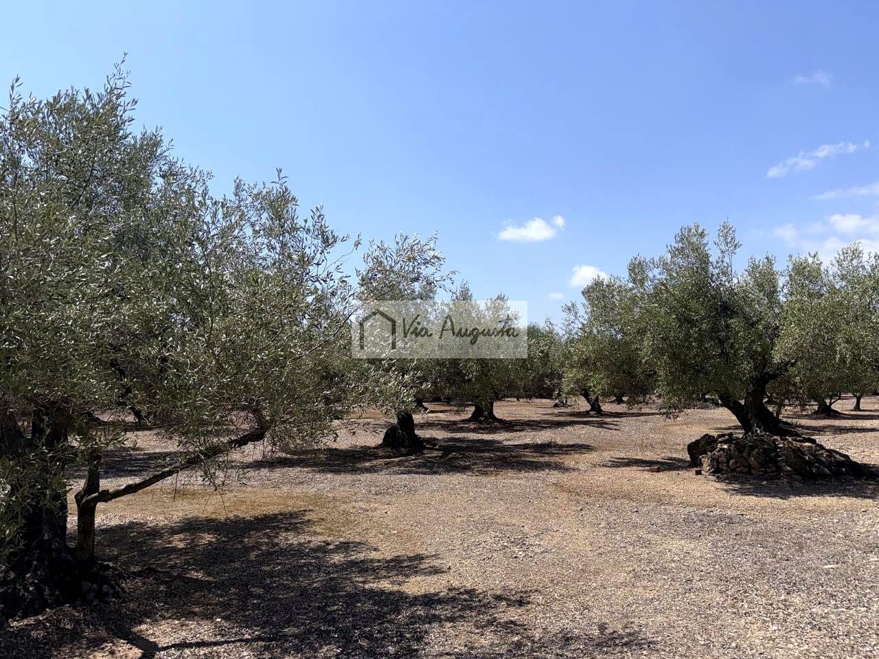 Terreno/Finca Rústica en L'Ametlla de Mar en venta - 80.000 € (Ref: 10076846)