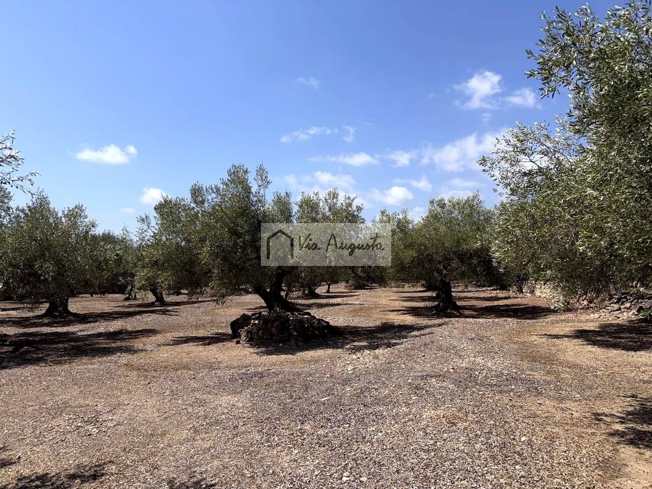 Terreno/Finca Rústica en L'Ametlla de Mar en venta - 80.000 € (Ref: 10076846)