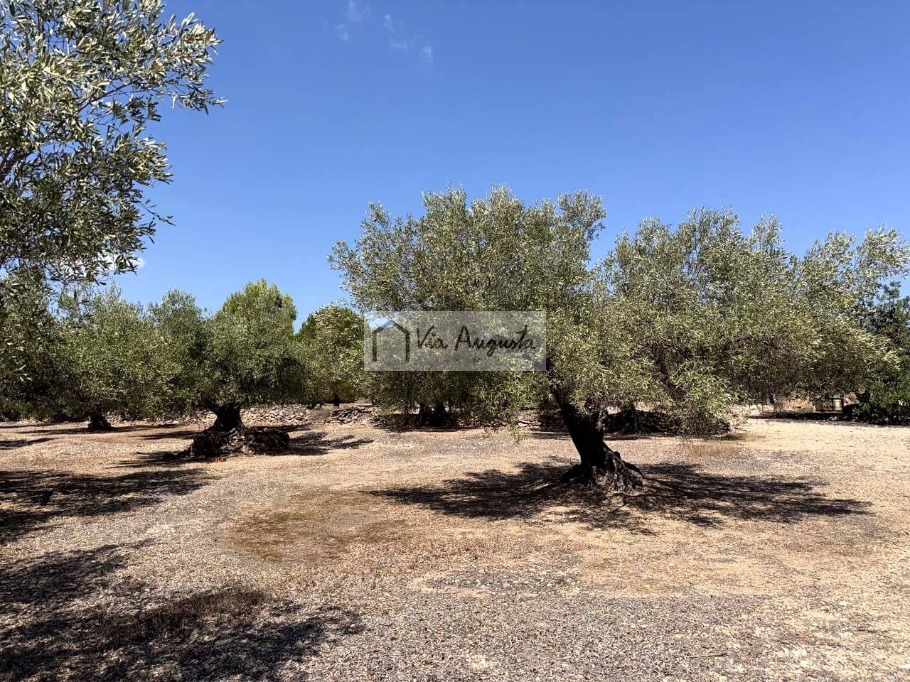 Terreno/Finca Rústica en L'Ametlla de Mar en venta - 80.000 € (Ref: 10076846)