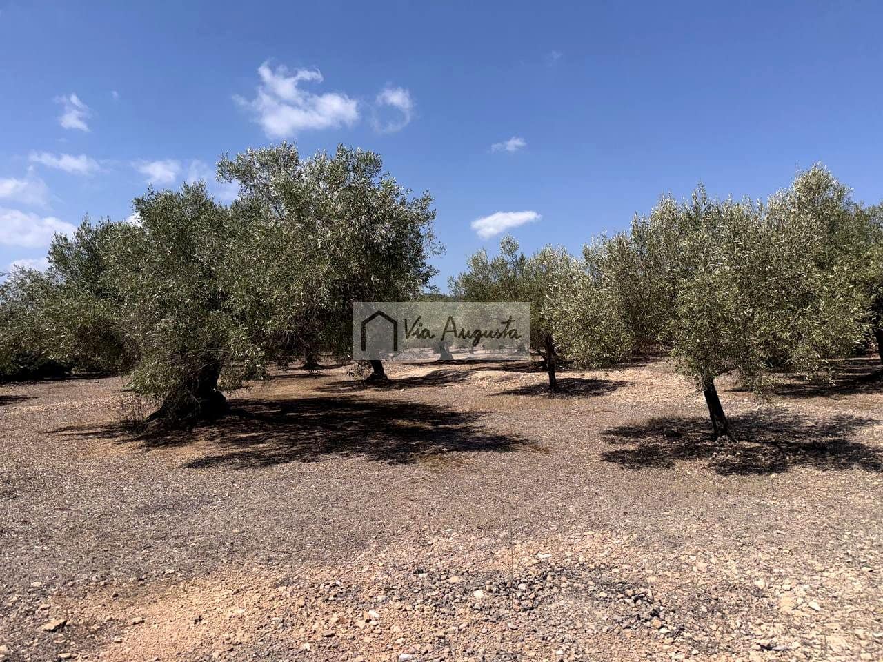 Terreno/Finca Rústica en L'Ametlla de Mar en venta - 80.000 € (Ref: 10076846)