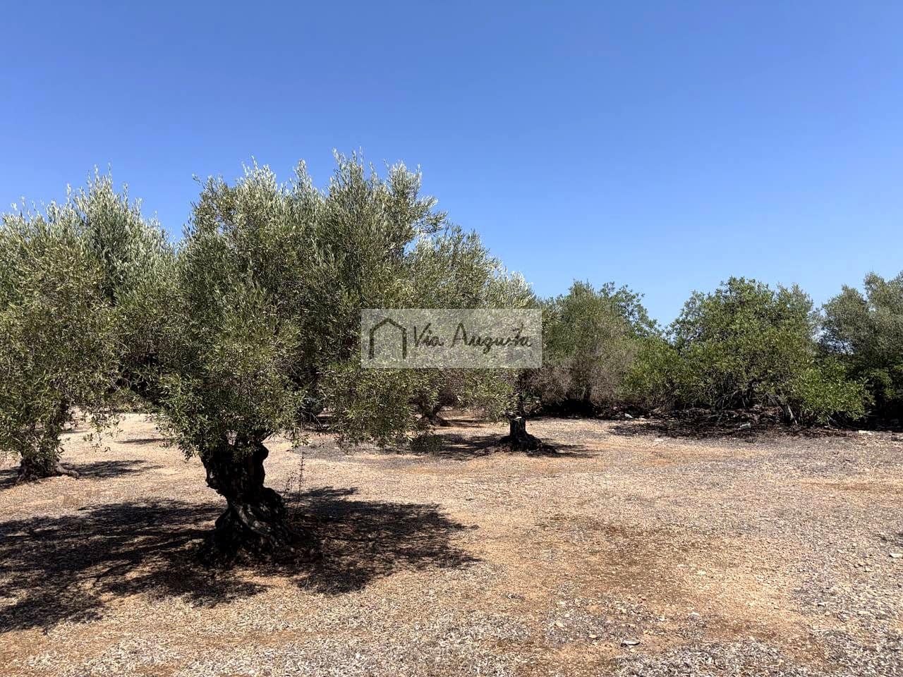 Terreno/Finca Rústica en L'Ametlla de Mar en venta - 80.000 € (Ref: 10076846)