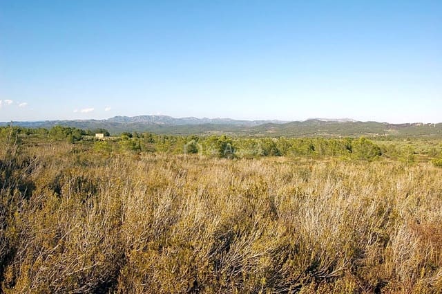 Grond te koop in El Perelló - € 45.000 (Ref: 4985167)