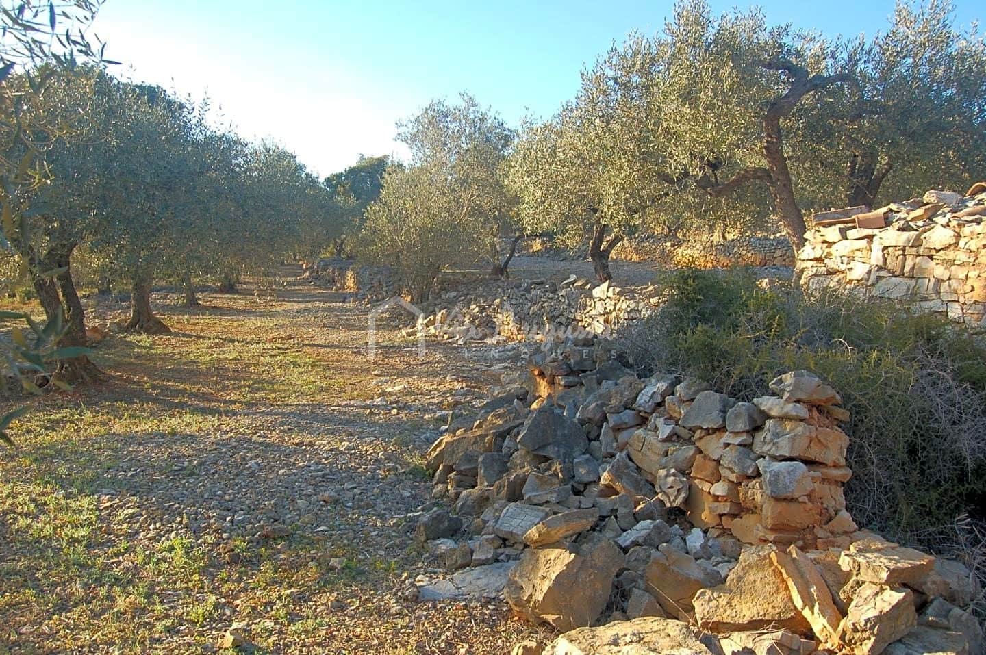 Mark till salu i El Perello - 17 000 € (Ref: 4985230)