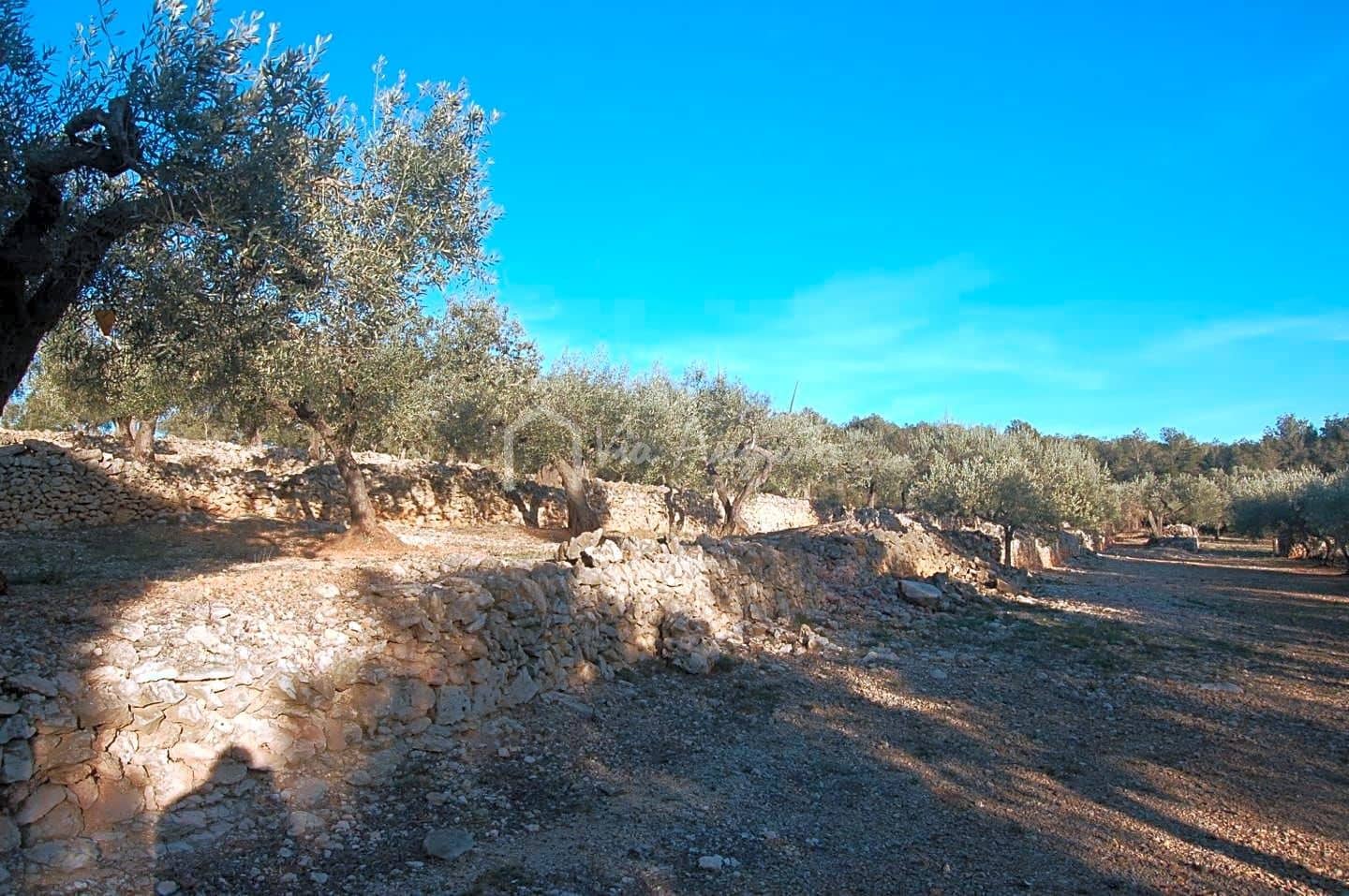 Mark till salu i El Perello - 17 000 € (Ref: 4985230)