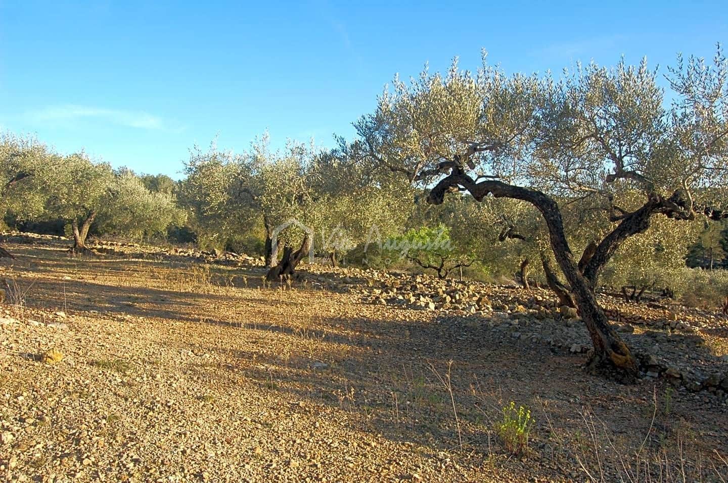 Mark till salu i El Perello - 17 000 € (Ref: 4985230)