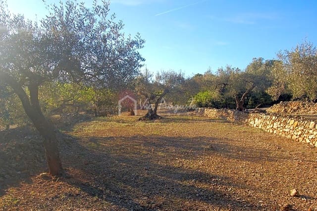 Terre non Aménagée à vendre à El Perelló - 17 000 € (Ref: 4985230)
