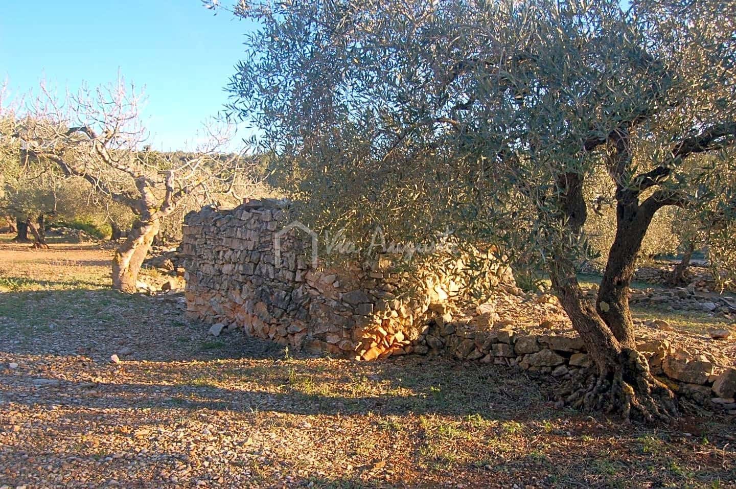 Mark till salu i El Perello - 17 000 € (Ref: 4985230)