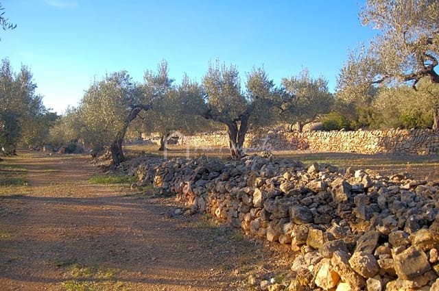 Terre non Aménagée à vendre à El Perelló - 17 000 € (Ref: 4985230)