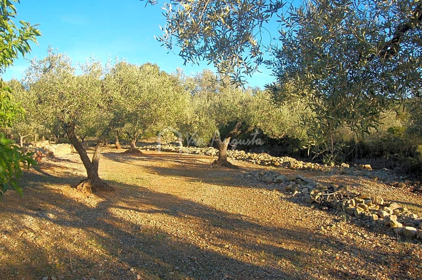 Mark till salu i El Perello - 17 000 € (Ref: 4985230)