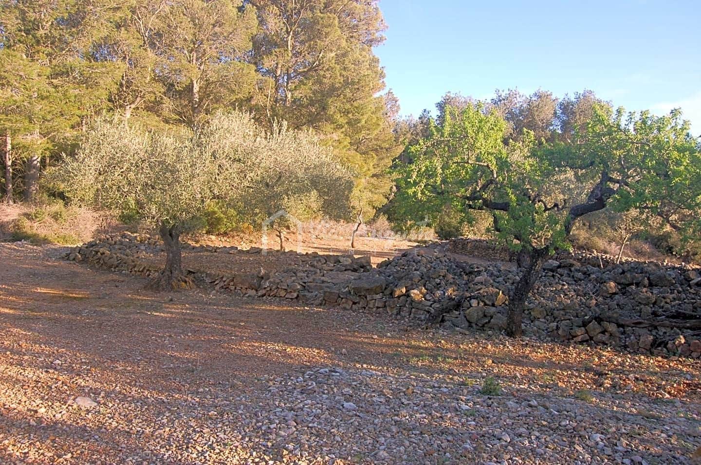 Mark till salu i El Perello - 17 000 € (Ref: 4985230)