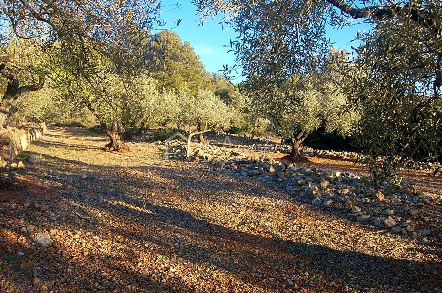 Mark till salu i El Perello - 17 000 € (Ref: 4985230)