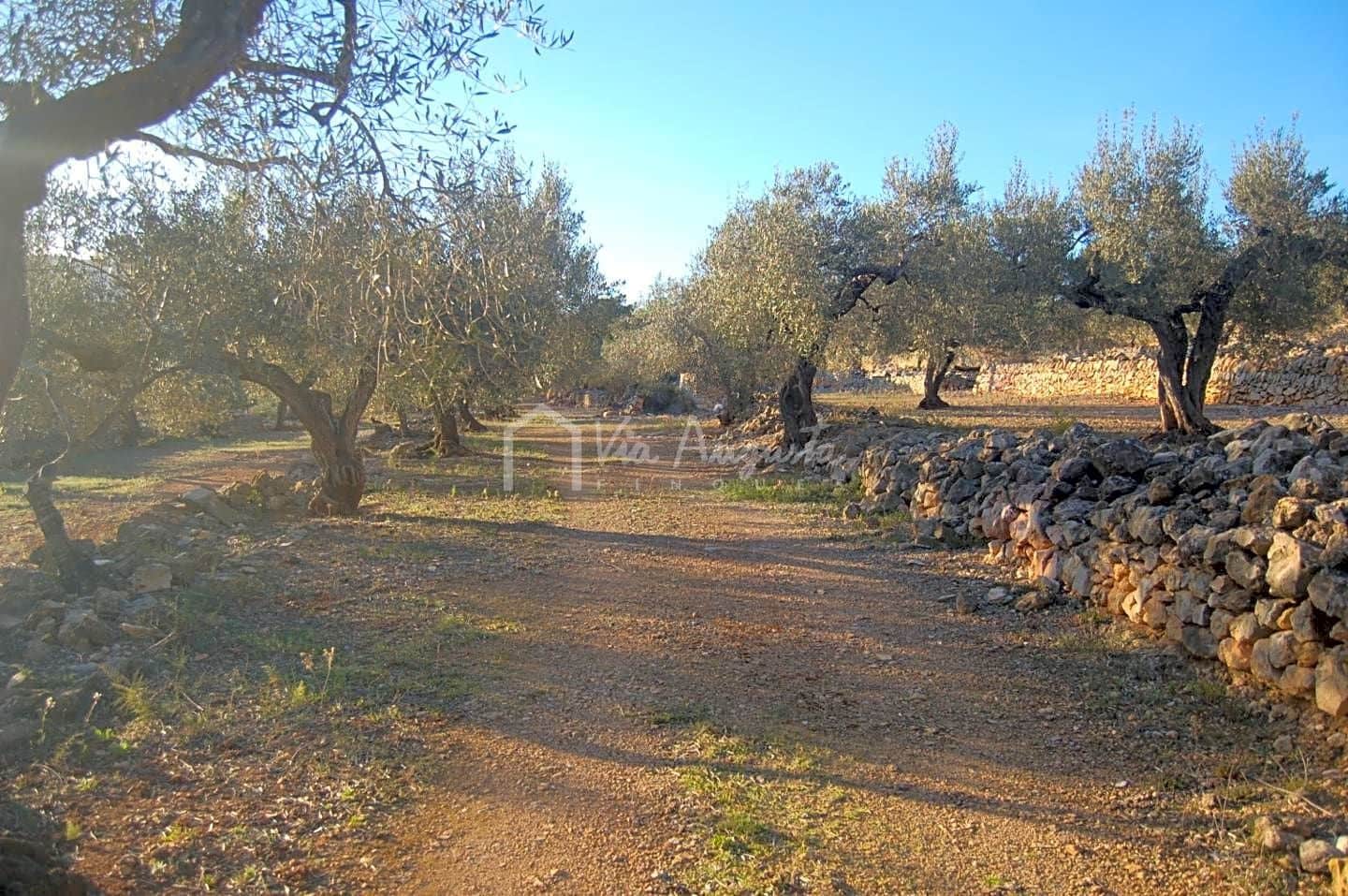 Mark till salu i El Perello - 17 000 € (Ref: 4985230)