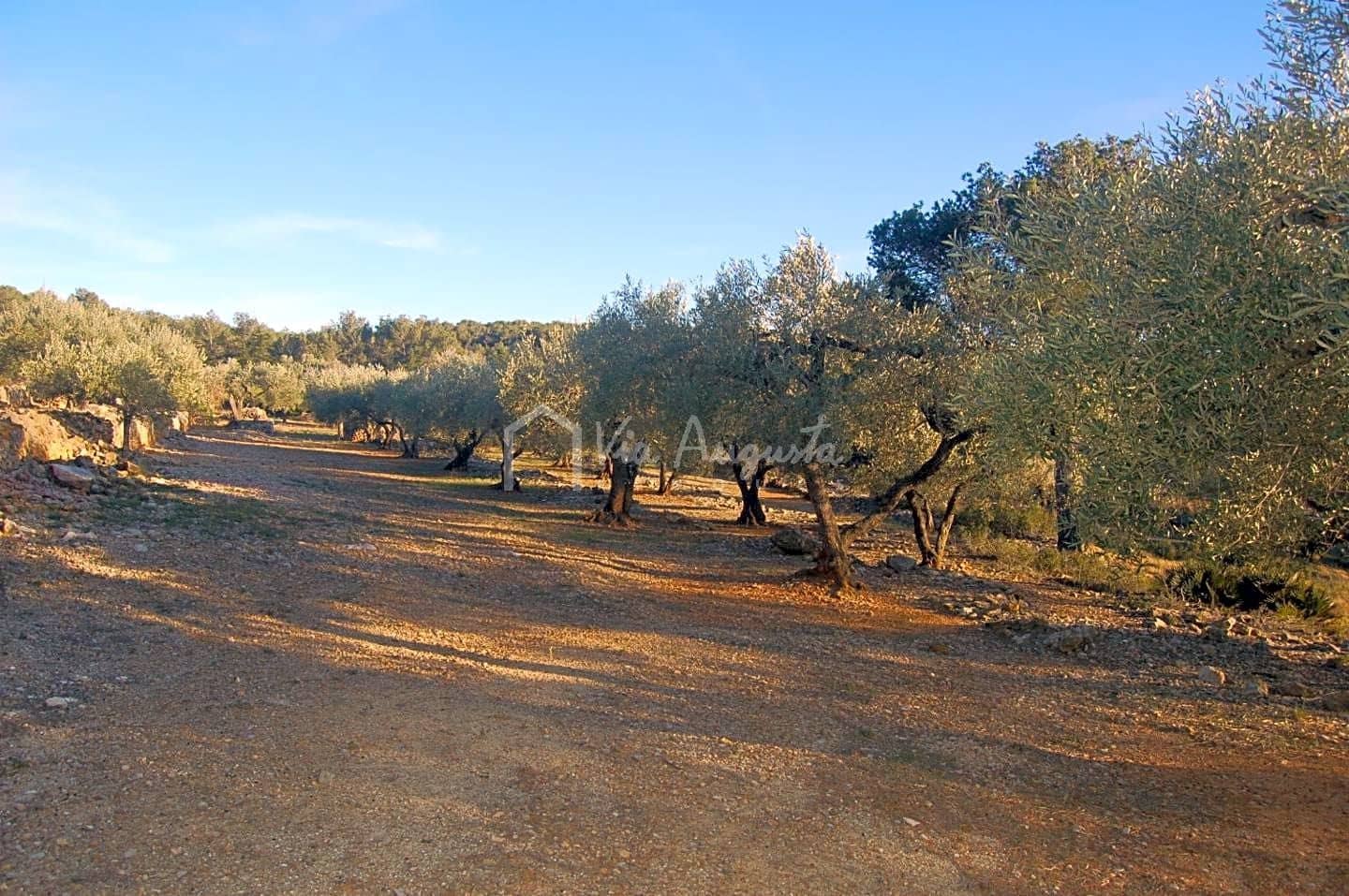 Mark till salu i El Perello - 17 000 € (Ref: 4985230)