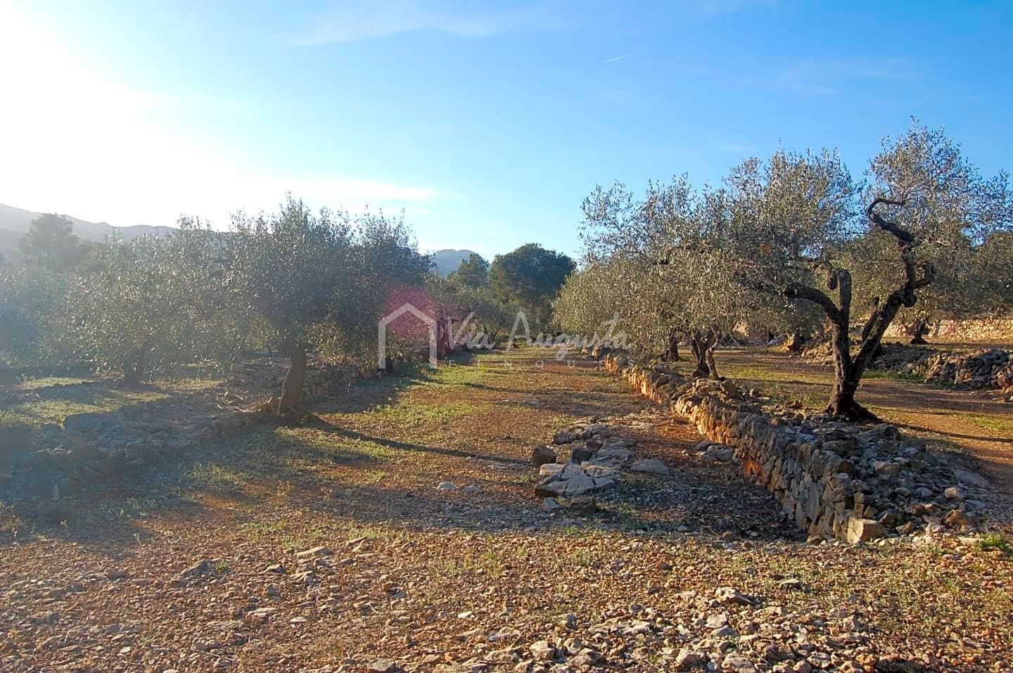 Mark till salu i El Perello - 17 000 € (Ref: 4985230)