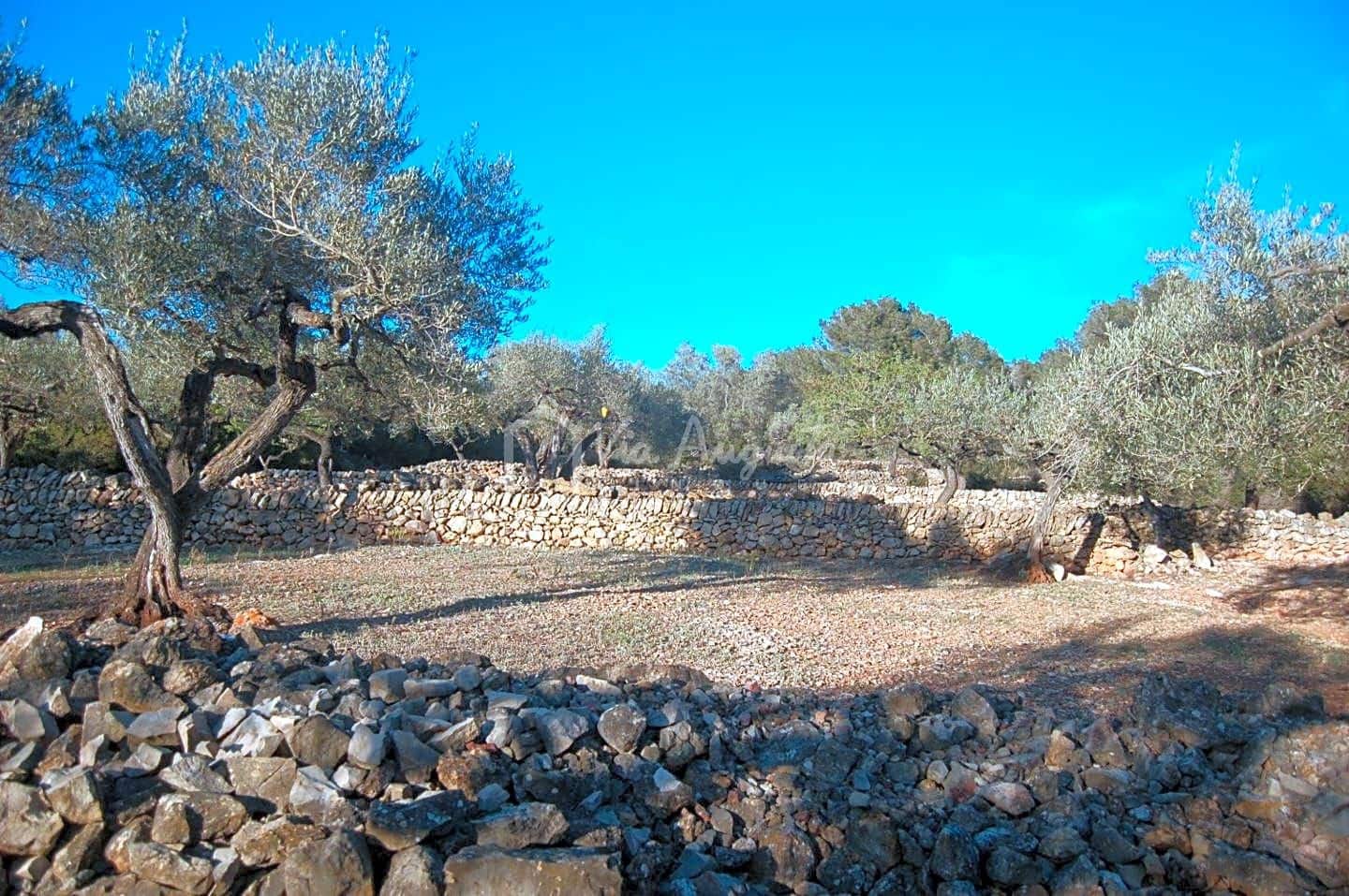 Mark till salu i El Perello - 17 000 € (Ref: 4985230)