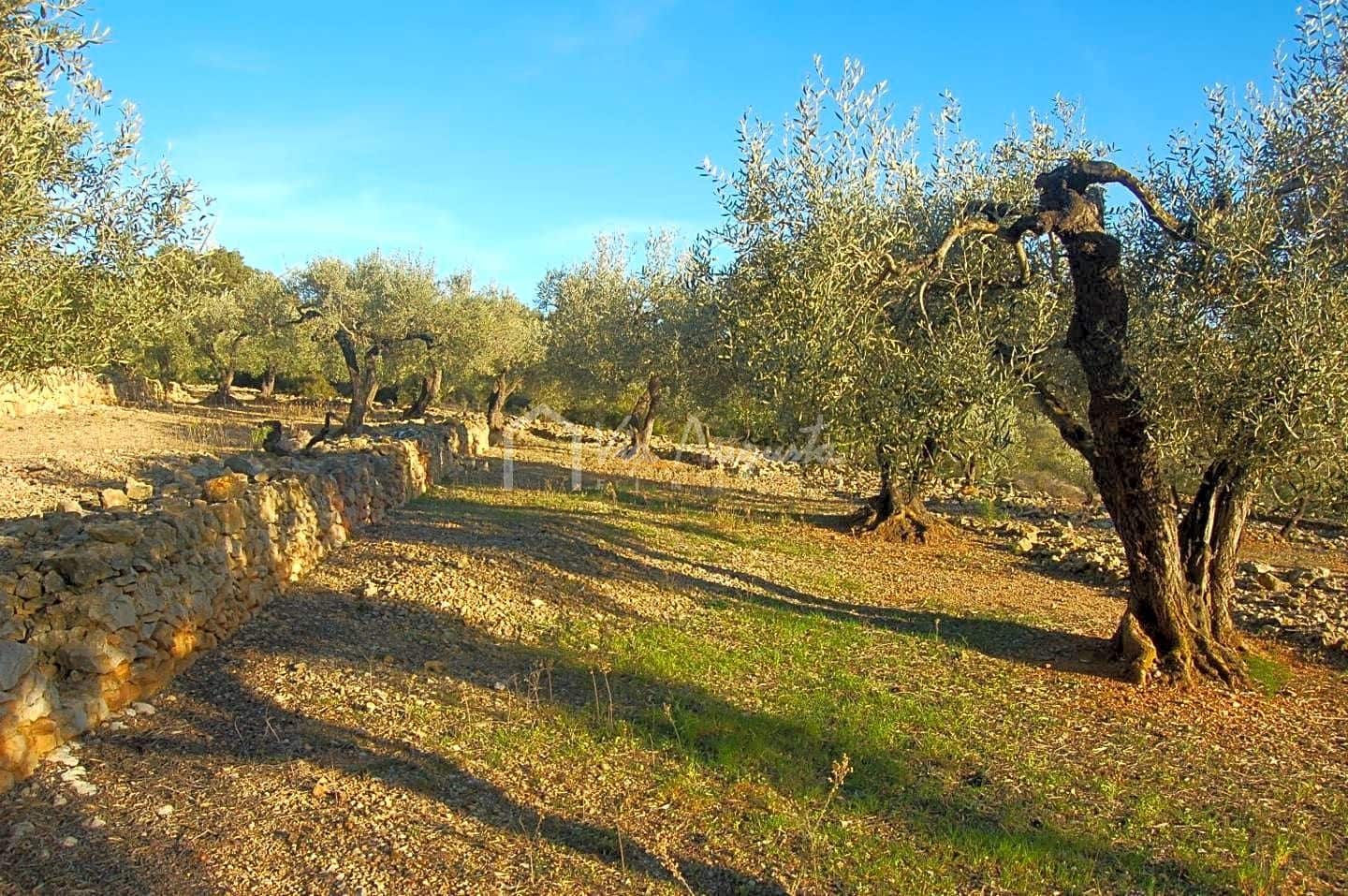 Mark till salu i El Perello - 17 000 € (Ref: 4985230)