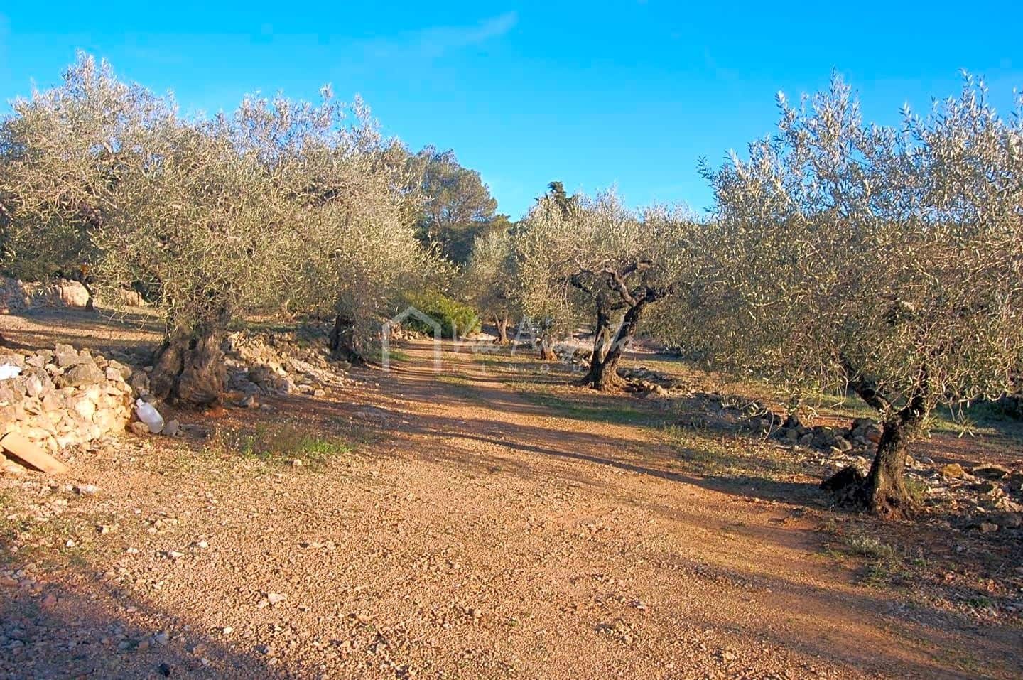 Mark till salu i El Perello - 17 000 € (Ref: 4985230)